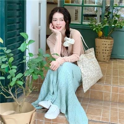 佛尼吉亚的霍华一家